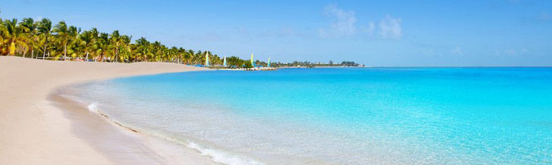 Best things to do in Key West - United States of America