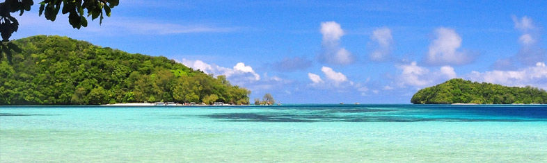 Best things to do in Koror Island - Palau