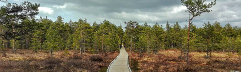 Best things to do in Lahemaa National Park - Estonia