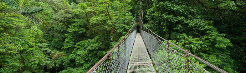 Reserva Florestal Monteverde Cloud