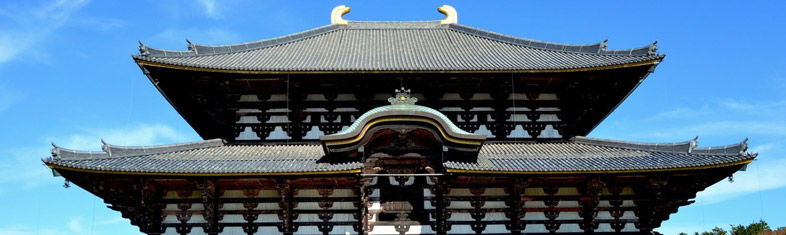 Best things to do in Nara - Japan