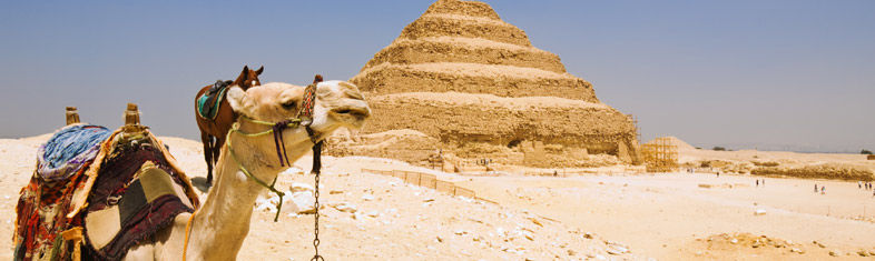 Best things to do in Saqqara - Egypt
