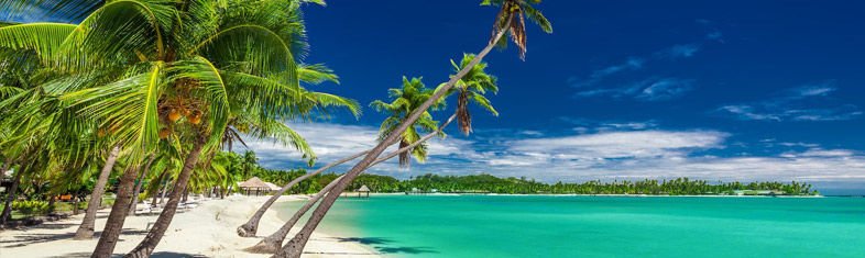 Best things to do in Suva - Fiji