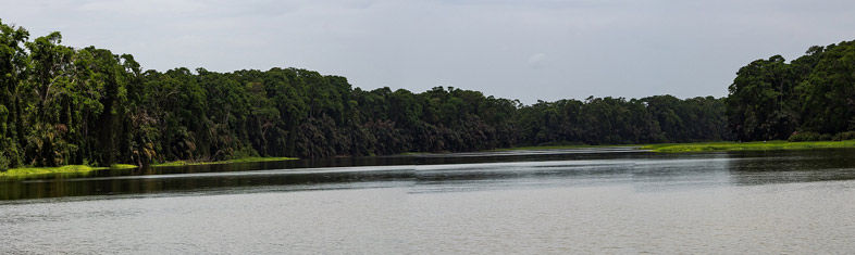 Tortuguero