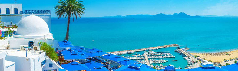 Best things to do in Tunis - Tunisia