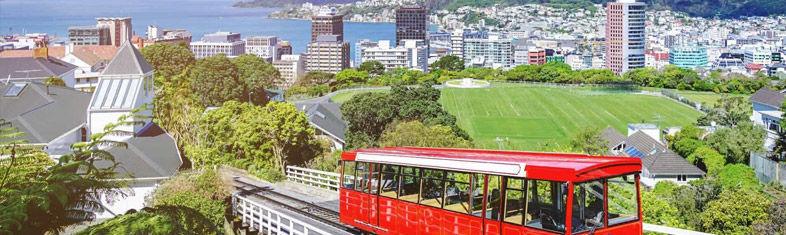 Best things to do in Wellington - New Zealand