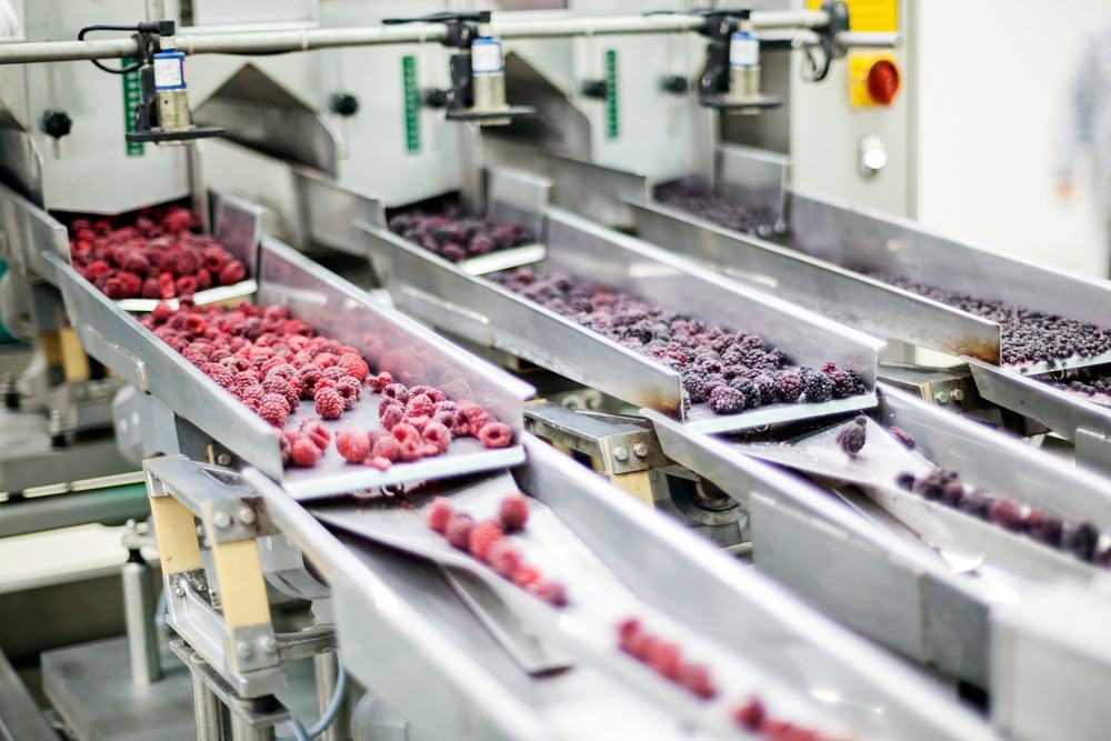 Frozen food processing