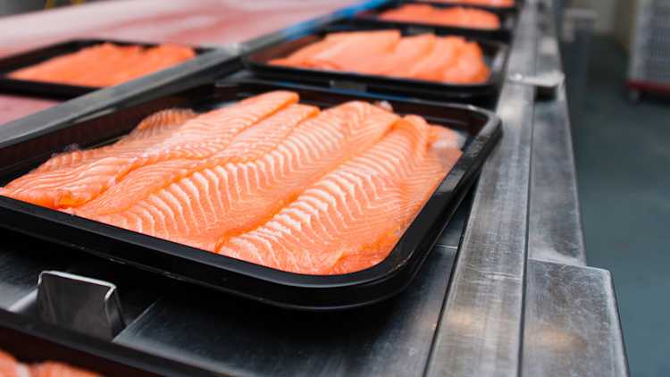 Seafood processing plant
