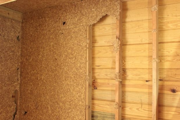 A descriptive caption for your image