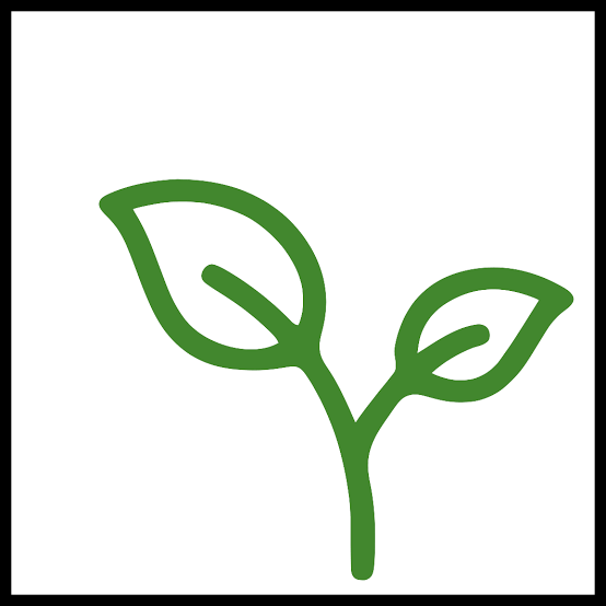 SE