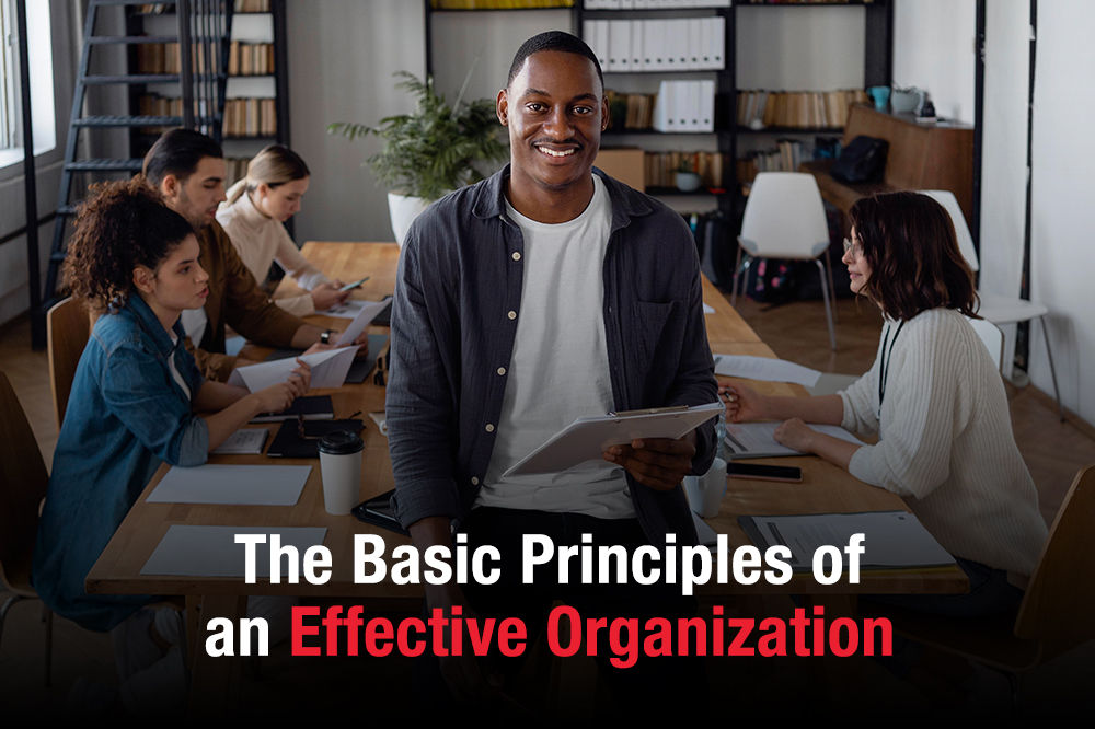 The Basic Principles of an Effective Organization 