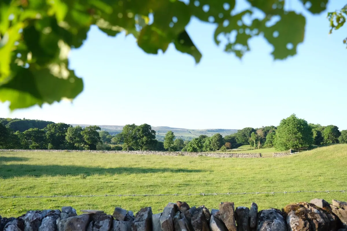 Wild With Consent | Adambottom Farm