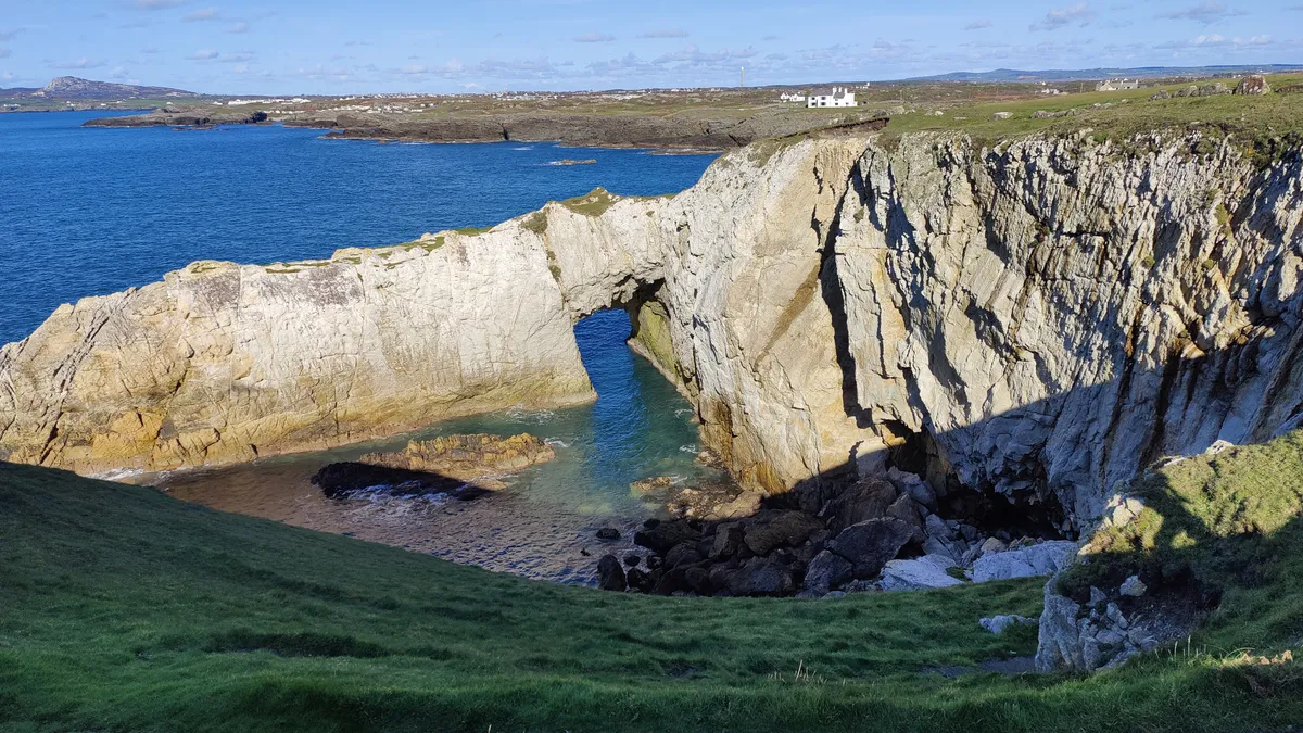Wild With Consent | Carreg Y Gad