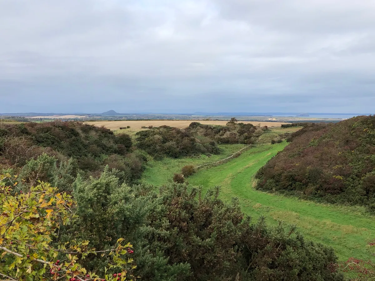 Wild With Consent | Pleasance Farm Glen (4WD only)