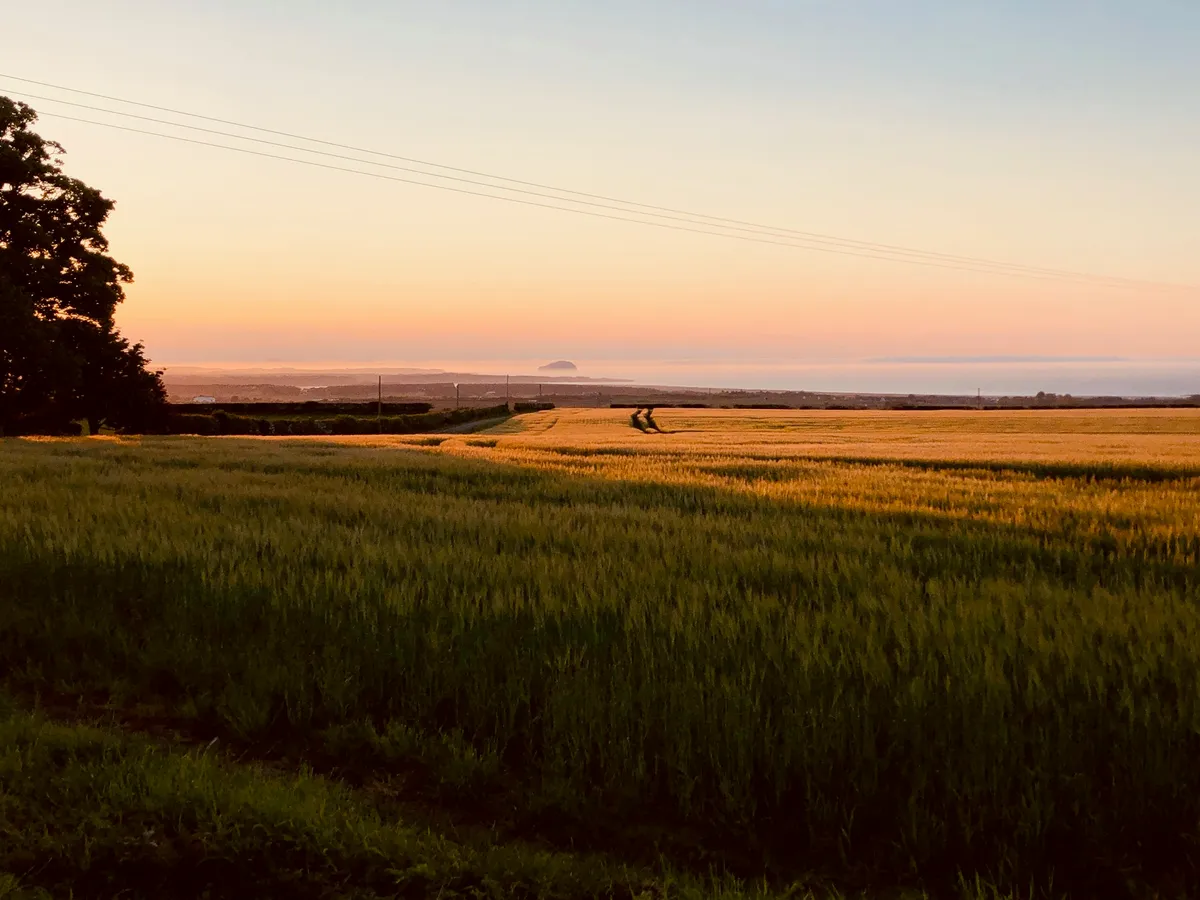 Wild With Consent | Pleasance Farm Glen (4WD only)