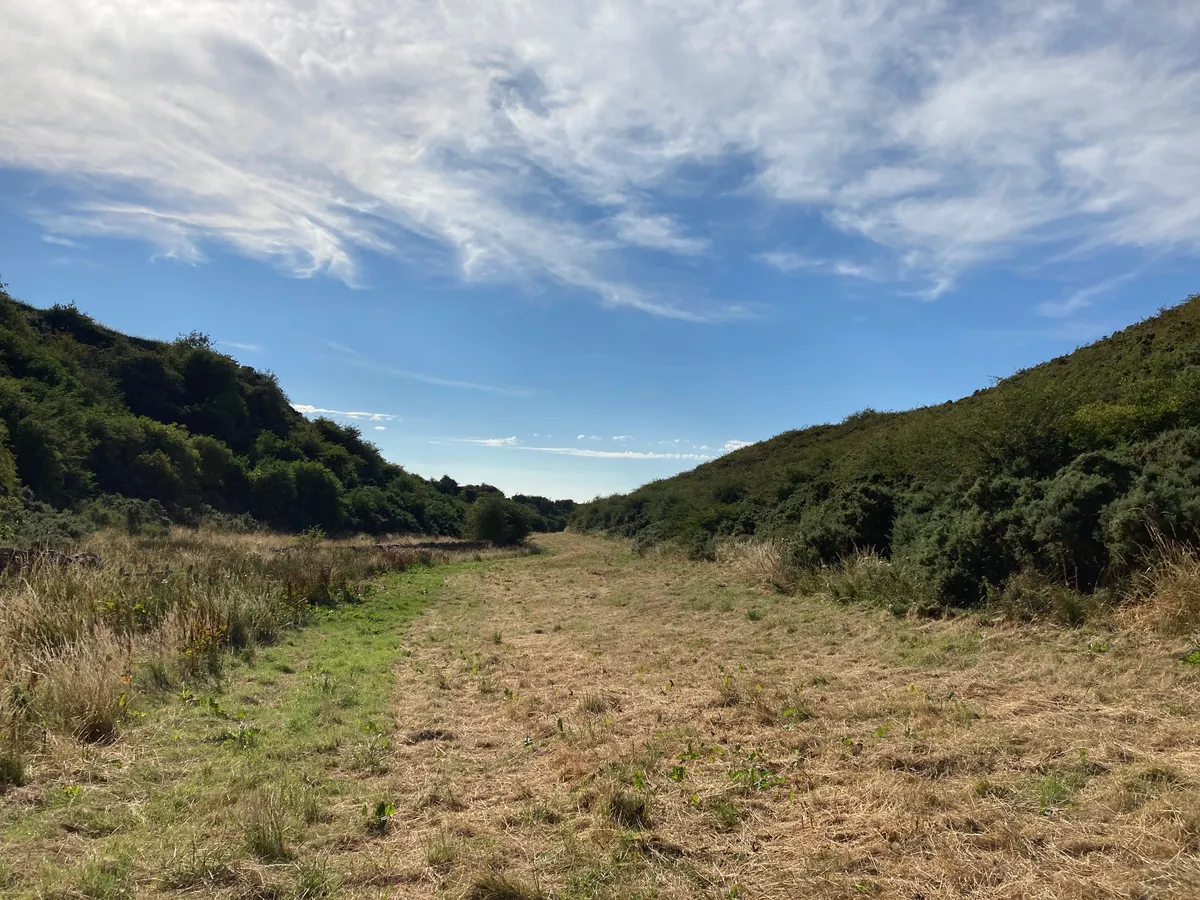 Wild With Consent | Pleasance Farm Glen (4WD only)