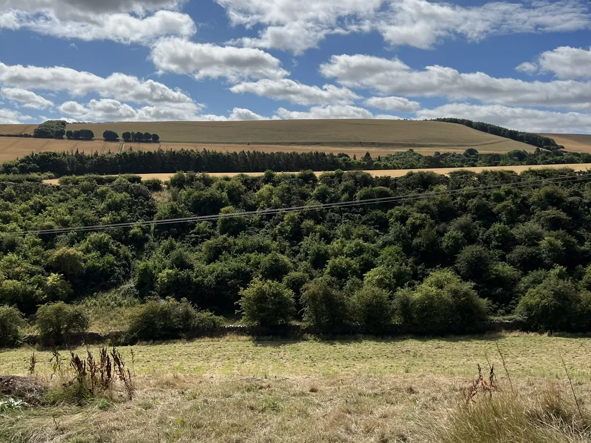 Wild With Consent | Pleasance Farm Glen (4WD only)
