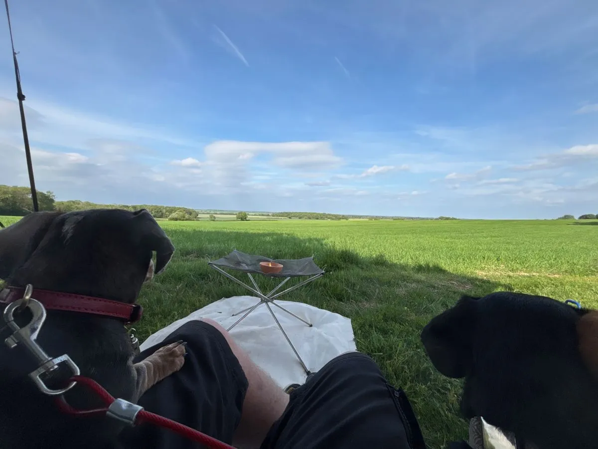 Wild With Consent | Rigsby Farm Coast View