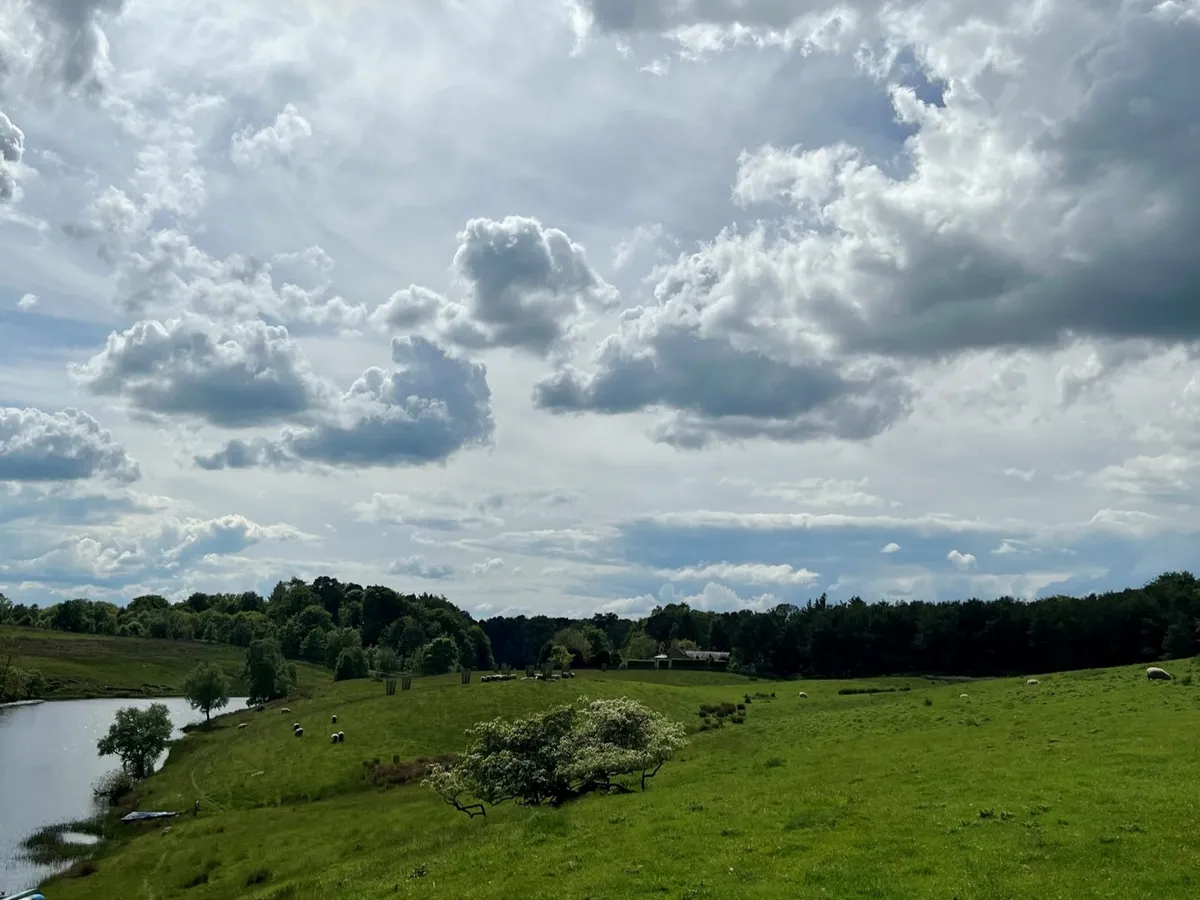 Wild With Consent | Rothley Low Lake