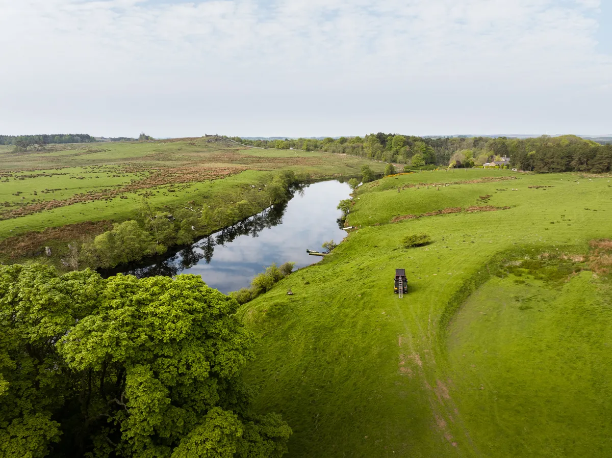 Wild With Consent | Rothley Low Lake