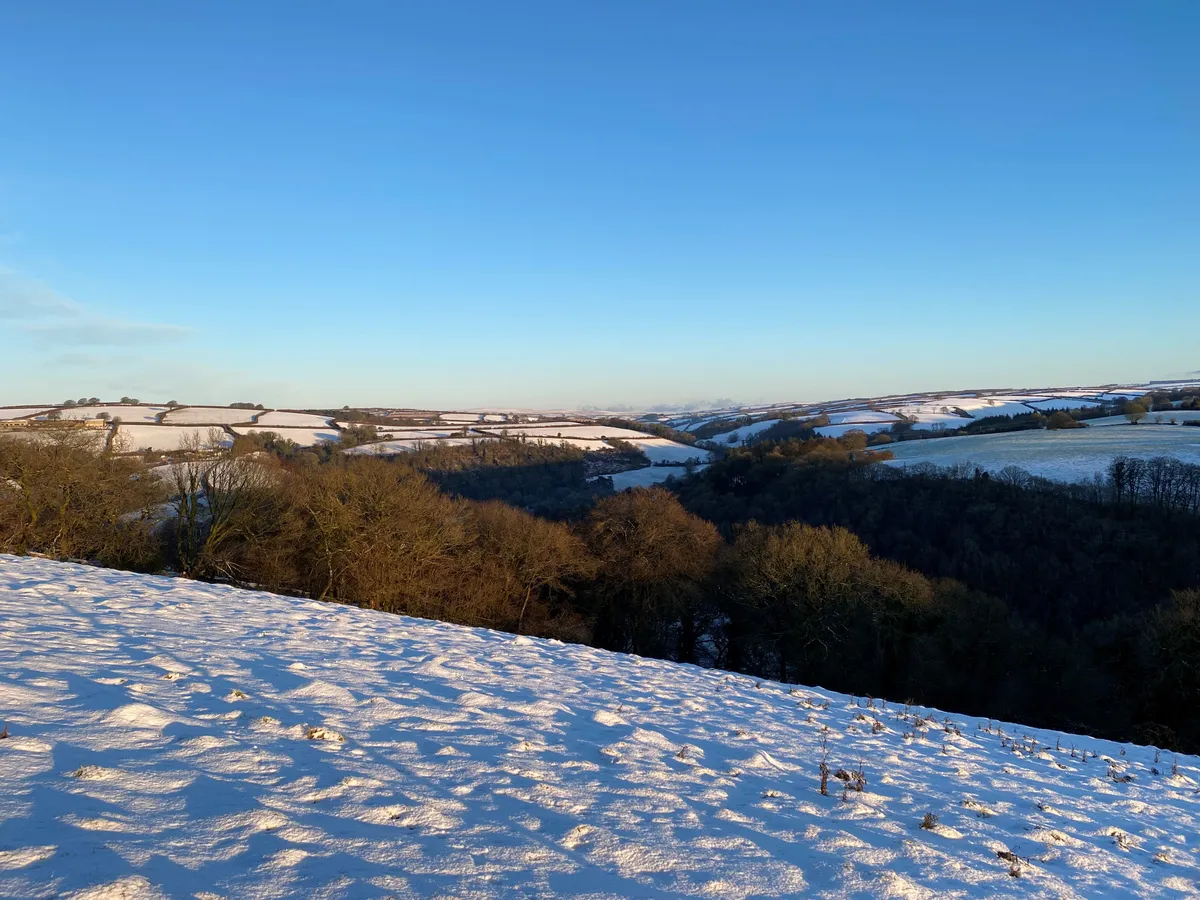 Wild With Consent | Stockham Farm