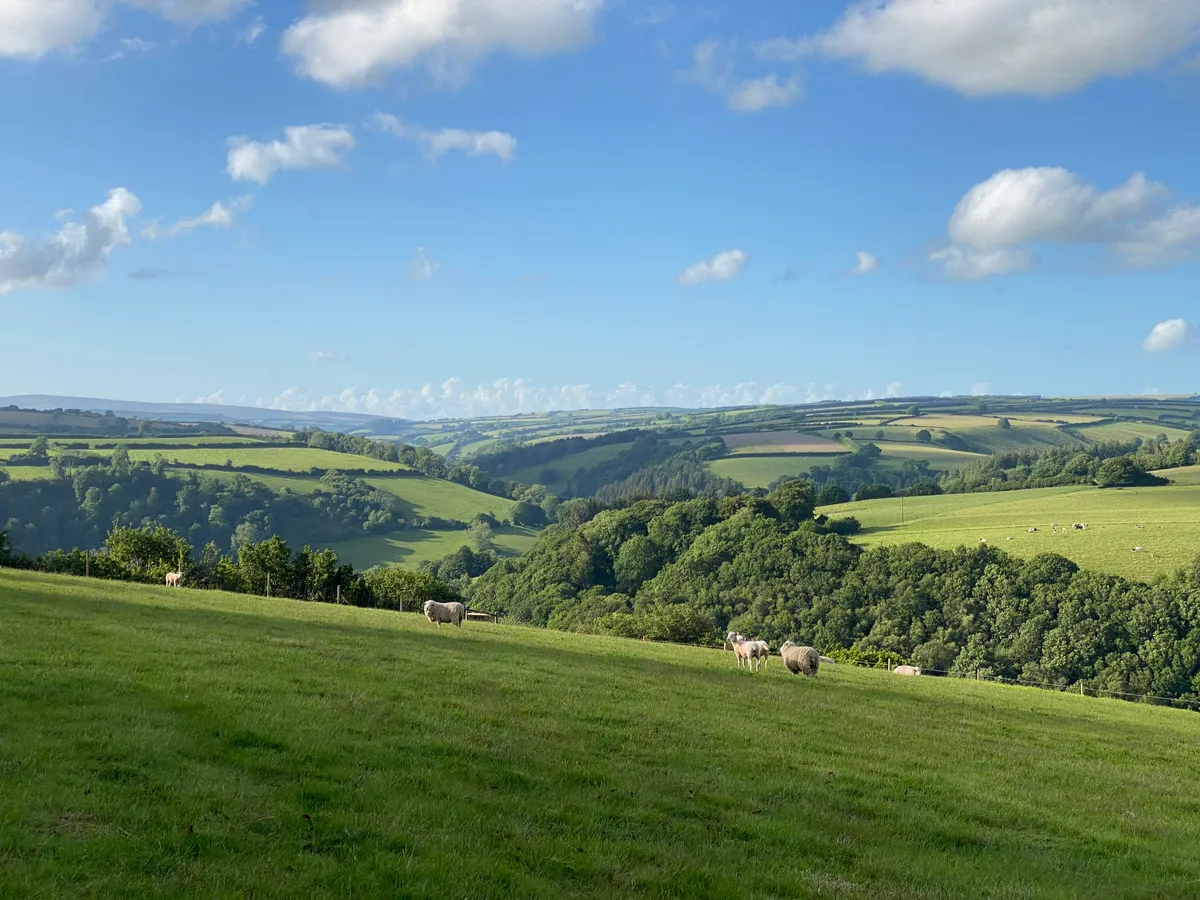 Wild With Consent | Stockham Farm