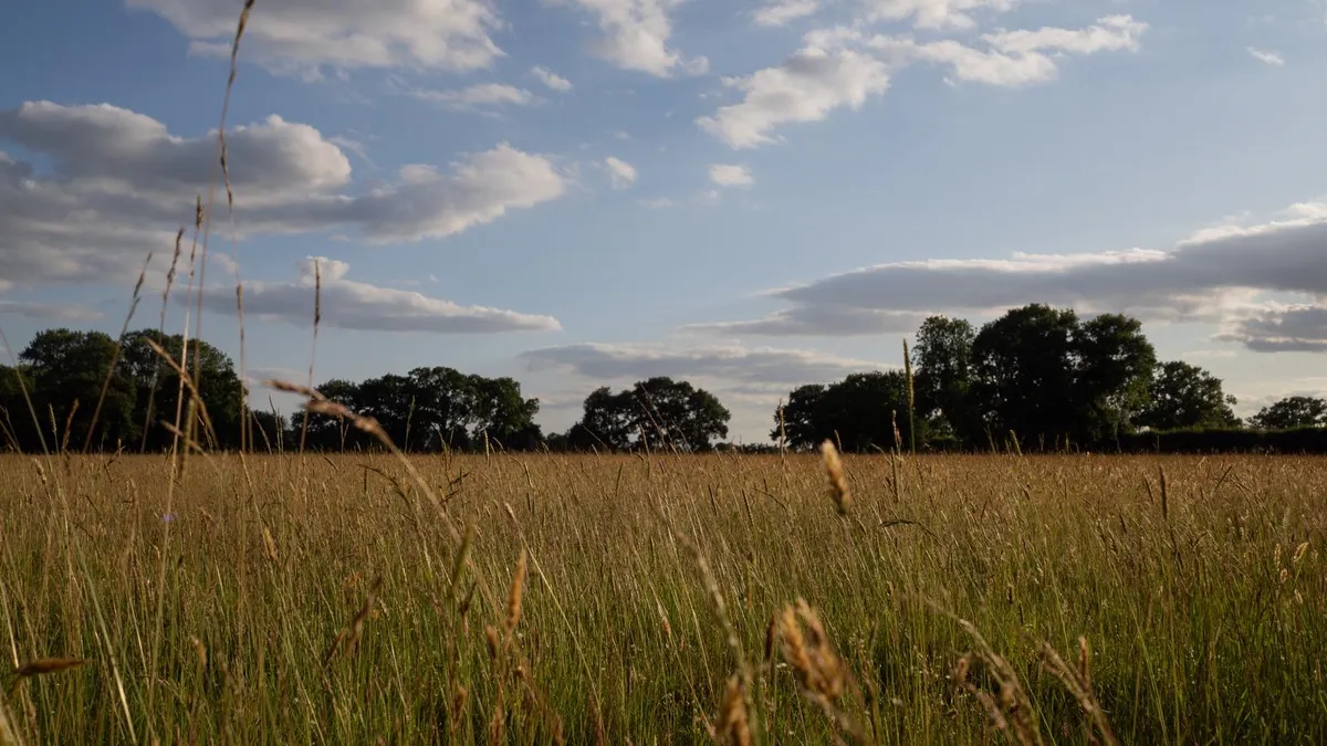 Wild With Consent | (NORTHBOUND) The Muddle and Go Nowhere Old Railway