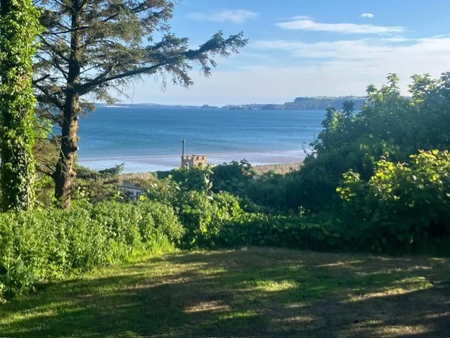 Wild With Consent | The Croft, Amroth Castle Farm