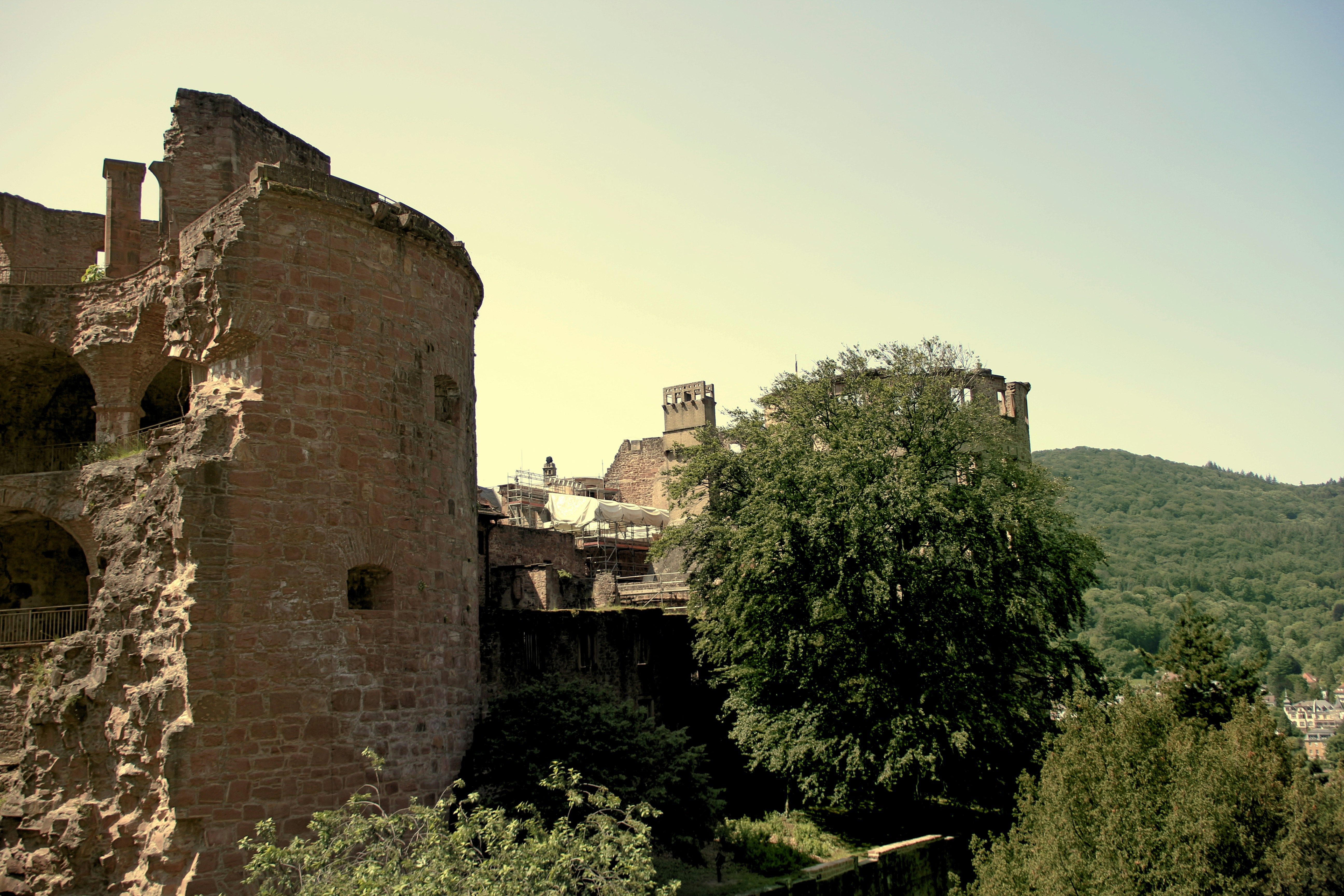 an old castle with a tree in front of it