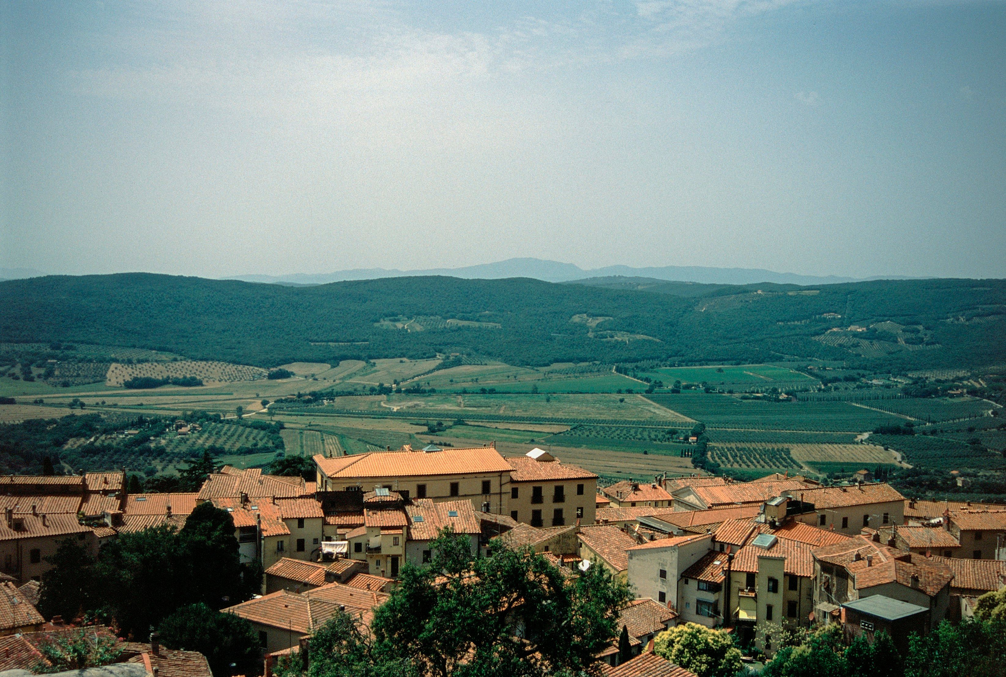 a view of a village in the countryside
