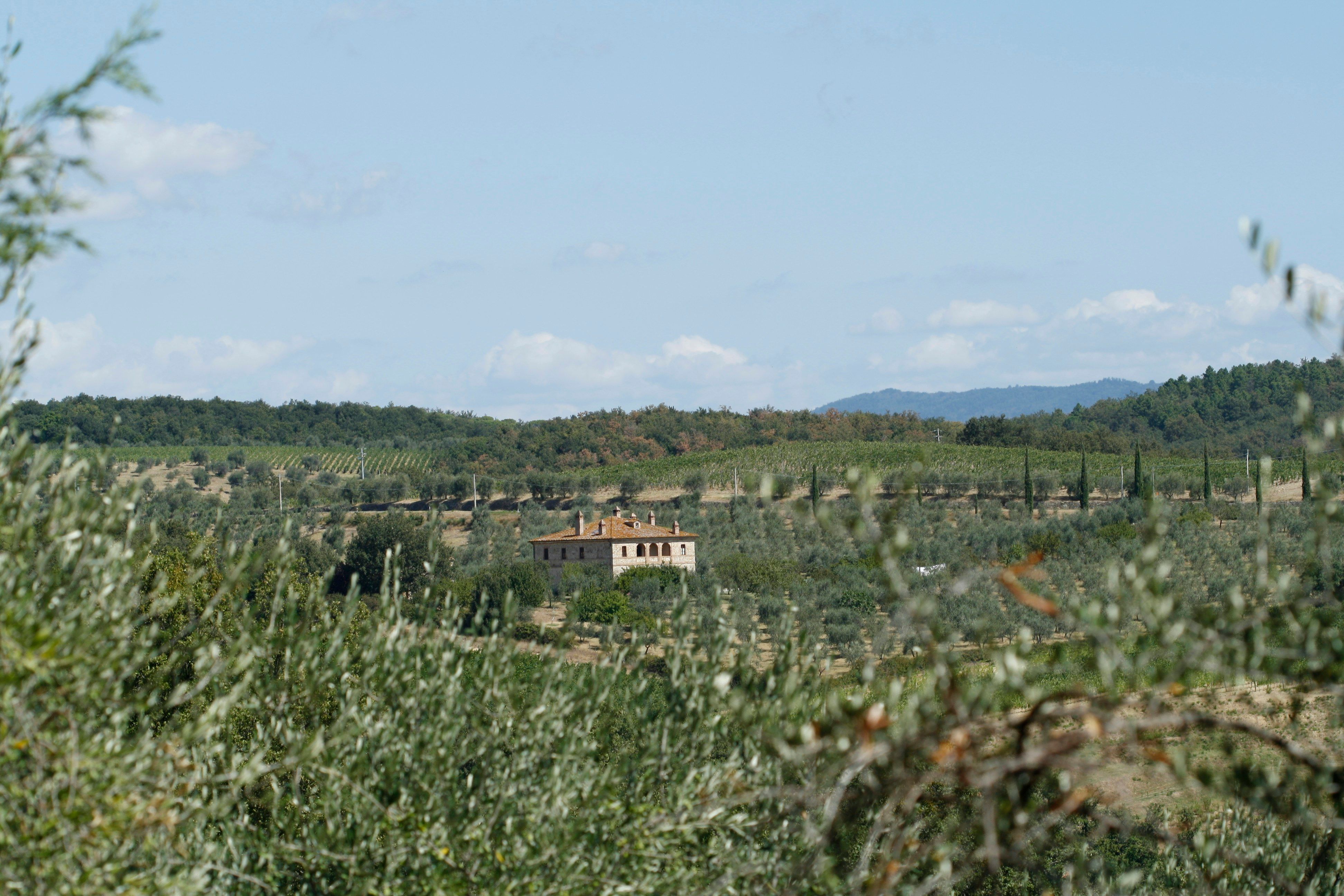 A view of a countryside with a house in the distance