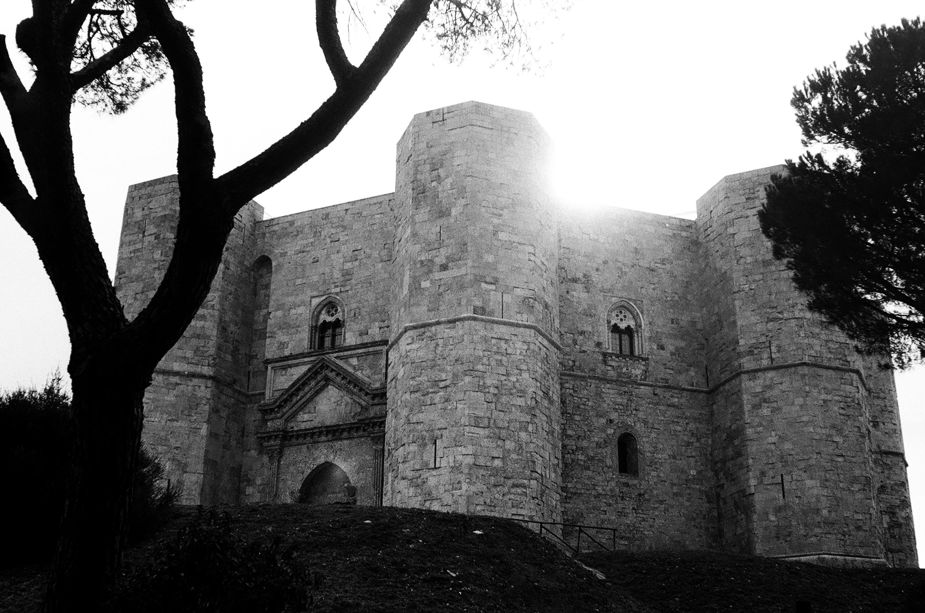 A black and white photo of a castle