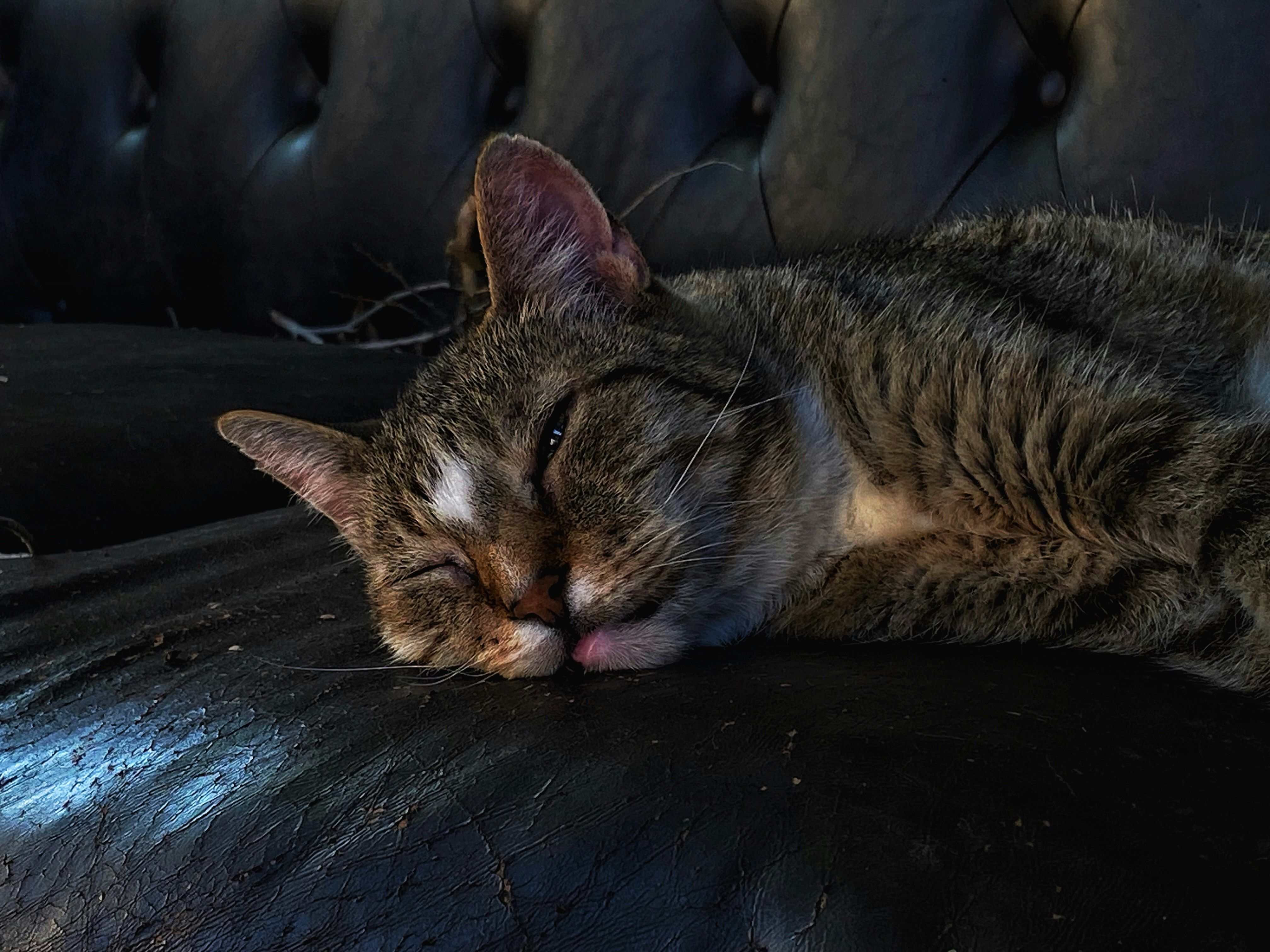 Arianna nel labirinto – Piccoli Sguardi