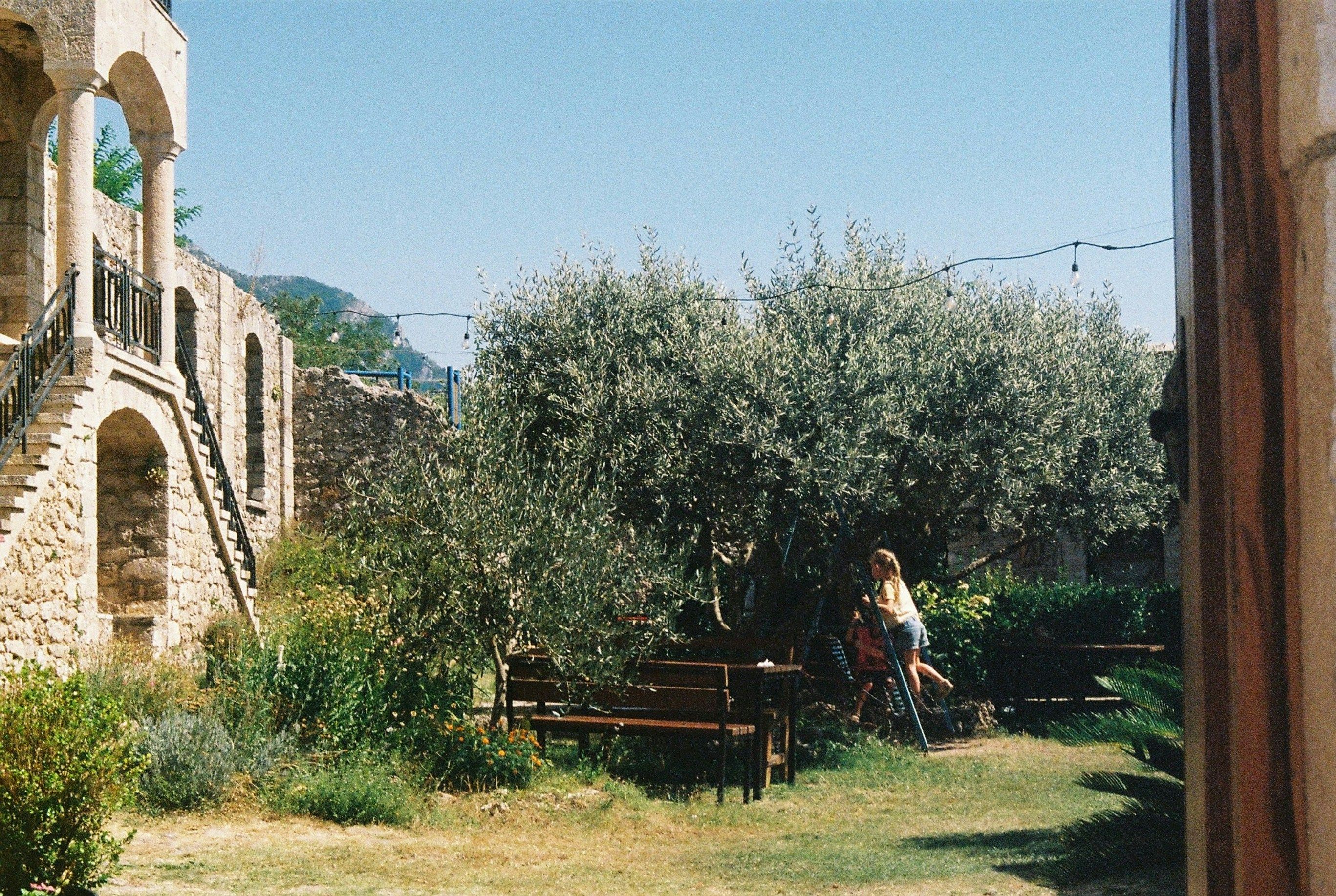 Woman sitting under olive trees in a courtyard.