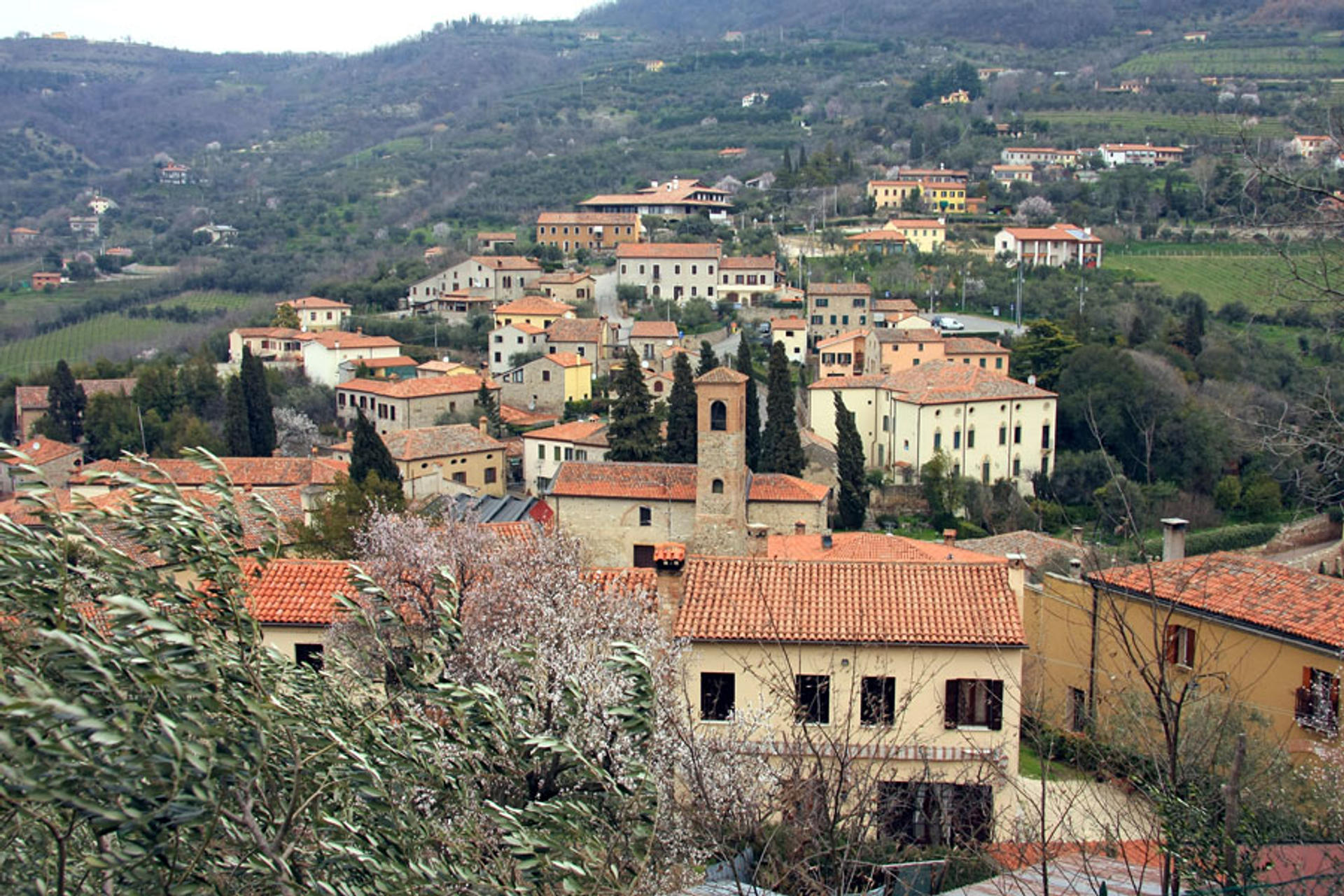 Vista di Arquà Petrarca