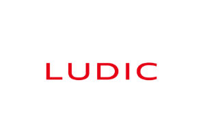Ludic