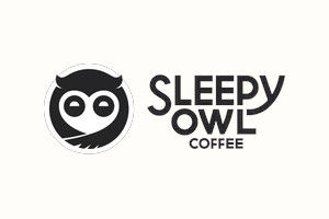 Sleepy Owl