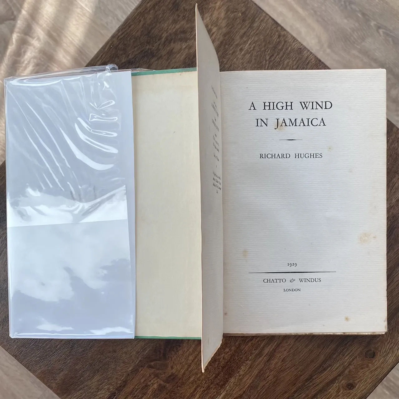 A High Wind in Jamaica 2