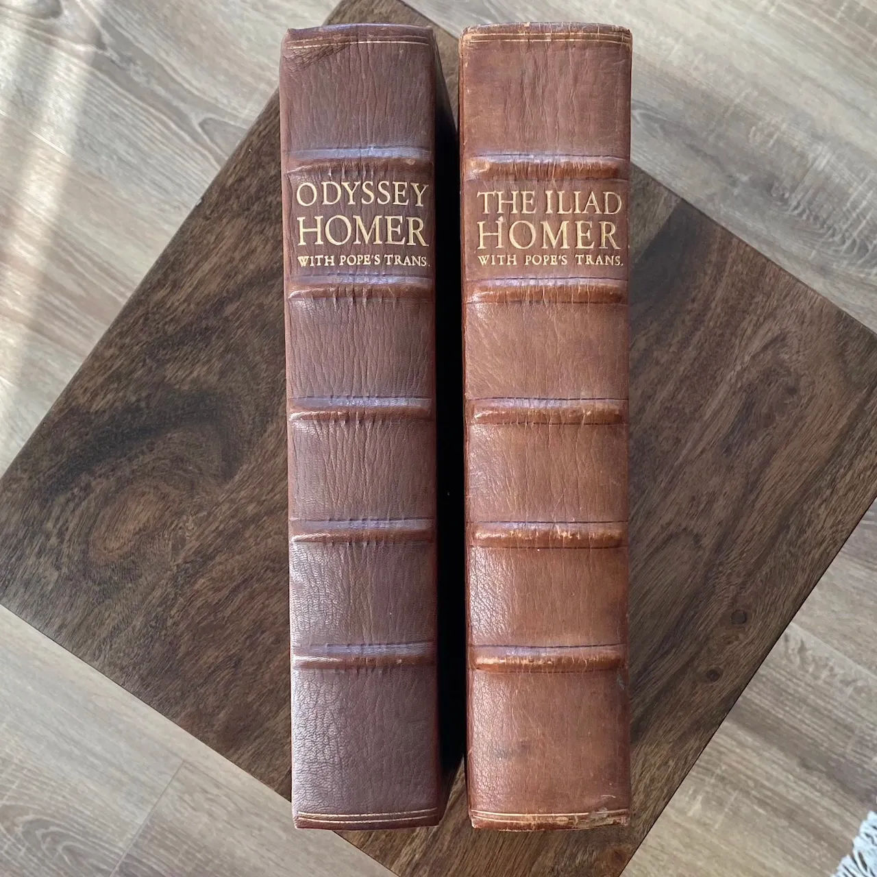Iliad and Odyssey