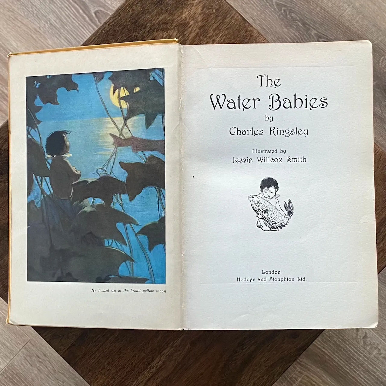 The Water Babies Charles Kingsley, Pictures by Jessie Willcox Smith 2