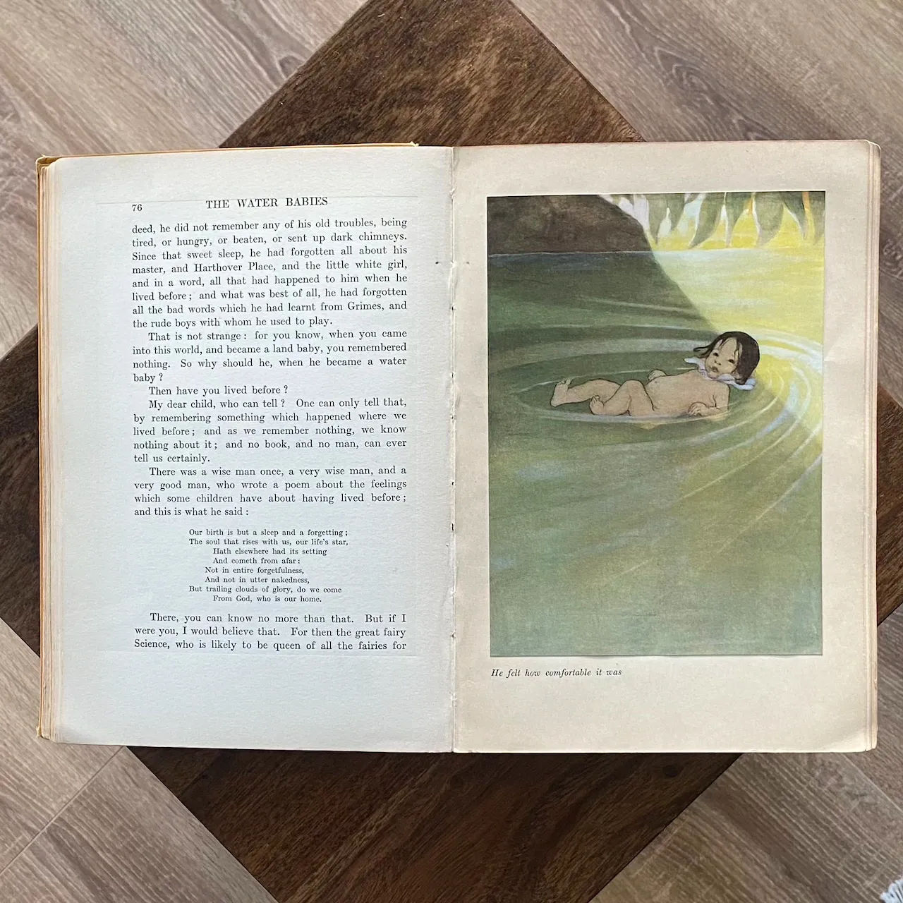 The Water Babies Charles Kingsley, Pictures by Jessie Willcox Smith 4