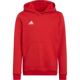 Adidas ENTRADA 22 Young Adults Hoodie