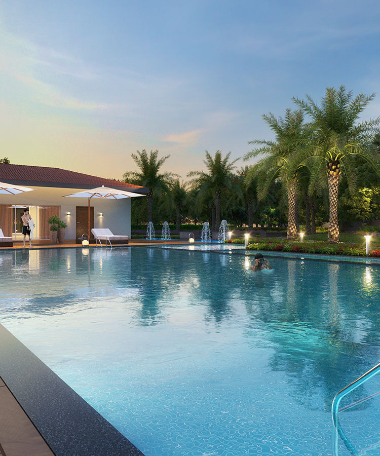 Swiming pool