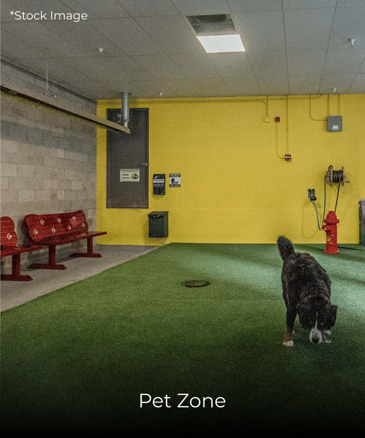 Pet Zone-op