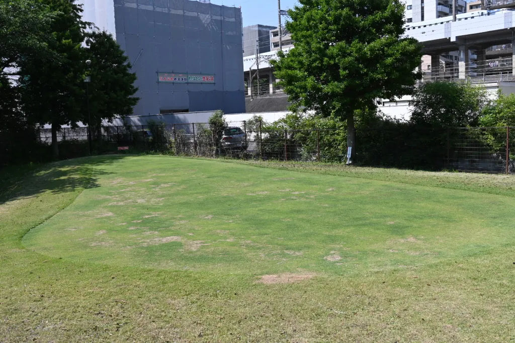パターグリーン