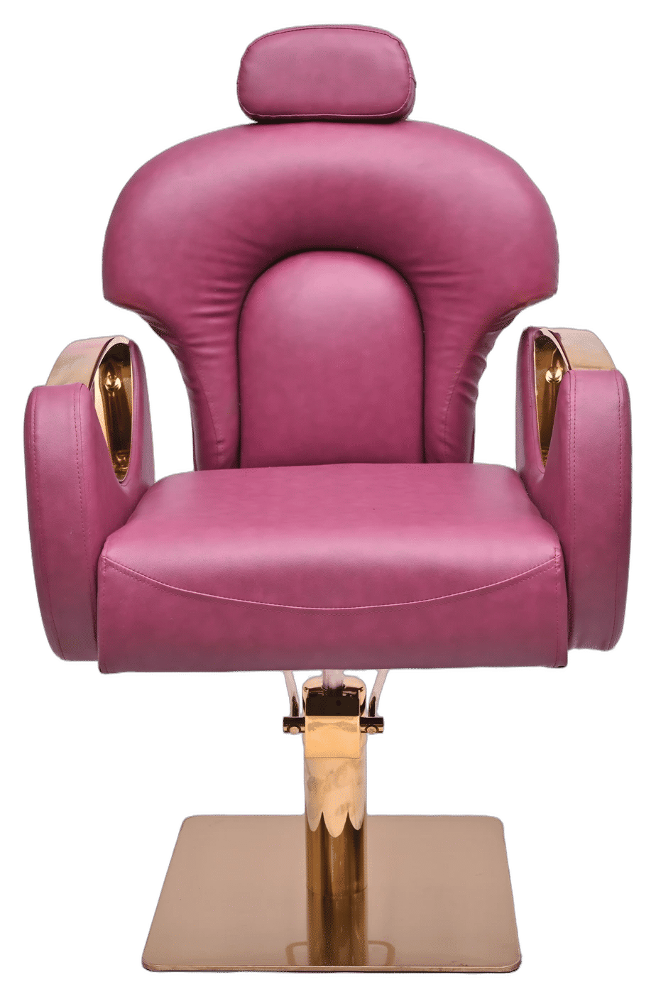 Luxury Magenta & Gold Professional Salon Chair - View 3