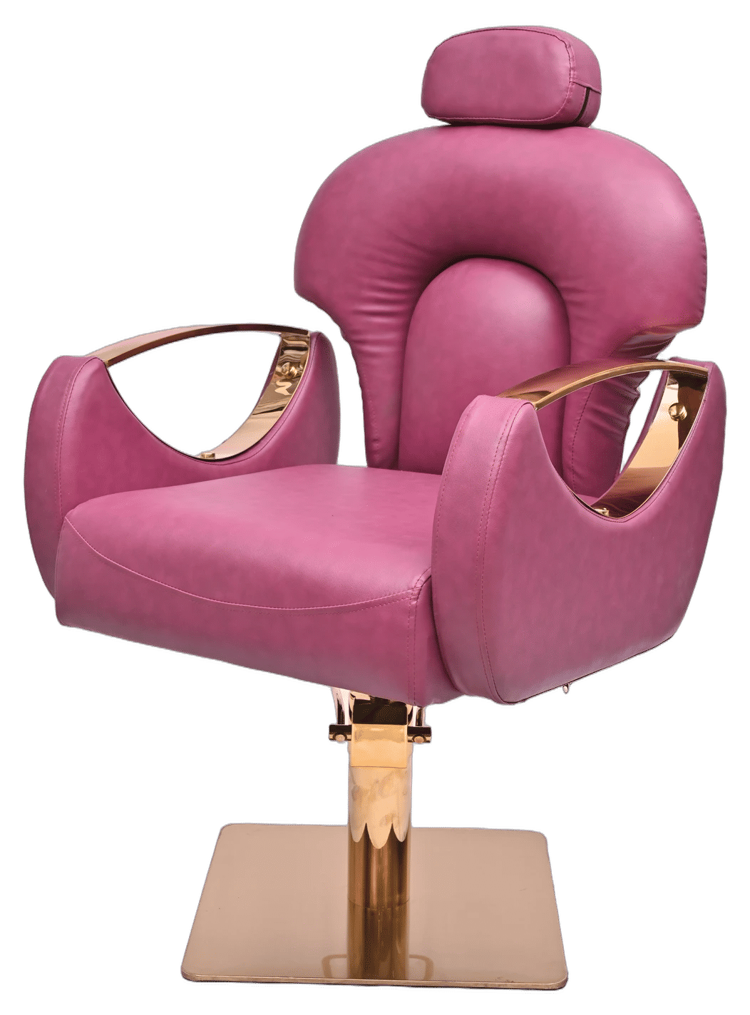 Luxury Magenta & Gold Professional Salon Chair - View 2