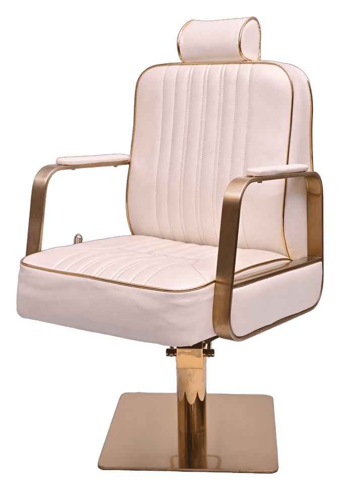 Chameleon Cutting Chair view 2