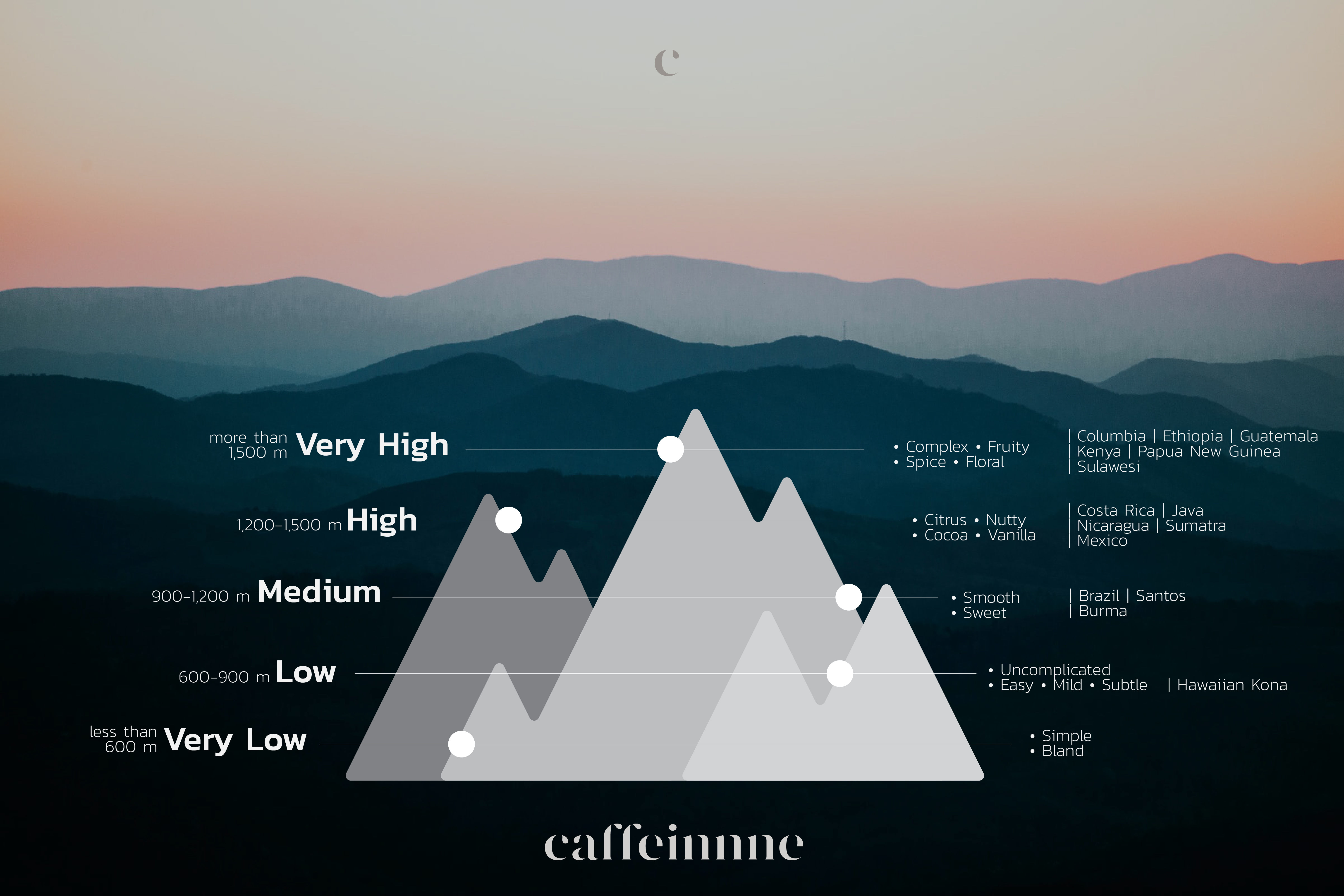 รสชาติของกาแฟในแต่ละระดับความสูงของพื้นที่ปลูกกาแฟ โดย caffeinnne.co