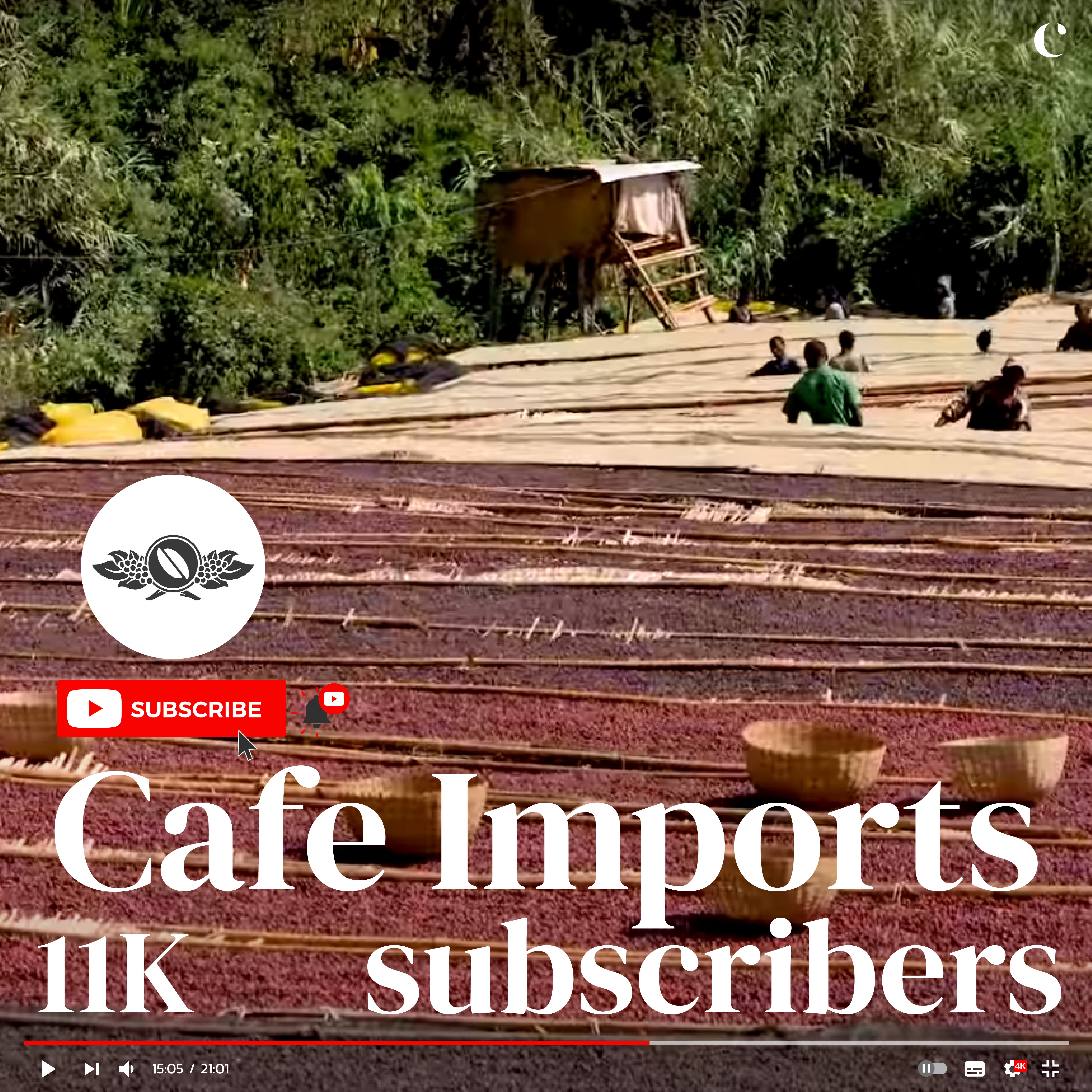 10 สุดยอดช่องกาแฟบน YouTube ที่ควรกดติดตาม  Cafe Imports